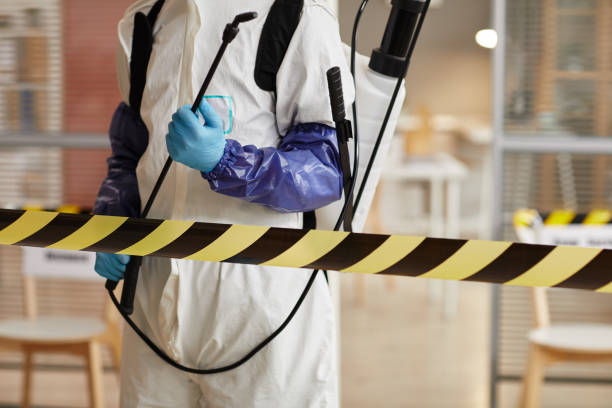 Professional Sewage Cleanup technician working in Irvington, KY