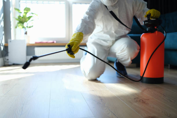Reliable Sewage Cleanup contractor in Irvington, KY by Trauma Clean Pros